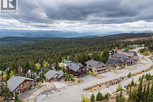 5925 Snow Pines Way Unit# 1 - Photo 46