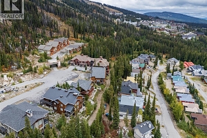 5925 Snow Pines Way Unit# 1 - Photo 47