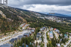 5925 Snow Pines Way Unit# 1 - Photo 48