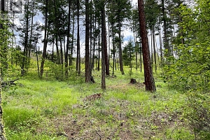 7968 Alpine Road - Photo 2