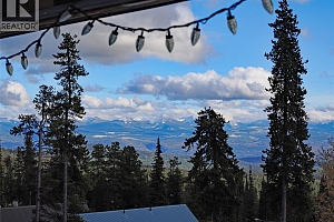 4854 Snowpines Road - Photo 15