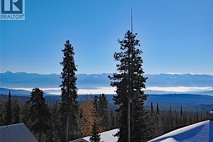 4854 Snowpines Road - Photo 34