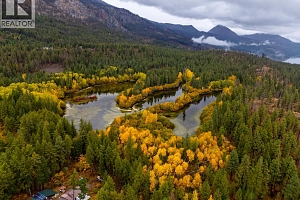 849 Balsam Road - Photo 54