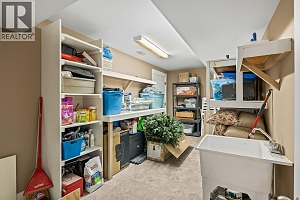 3431 Camelback Drive - Photo 48