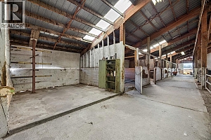 1823 Francis Street - Photo 14