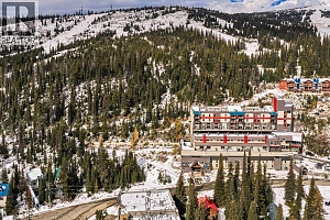 7450 Porcupine Road - Photo 14