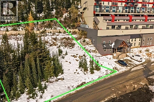 7450 Porcupine Road - Photo 2