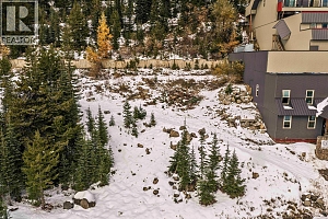 7450 Porcupine Road - Photo 9