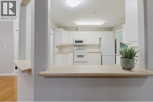 303 Whitman Road Unit# 108 - Photo 8