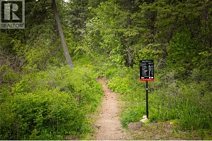 203 Longspoon Drive - Photo 48