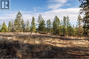 4323 Bedford Lane - Photo 30