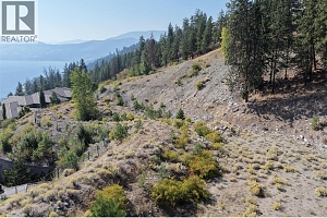 Lot 1 Ponderosa Drive - Photo 12