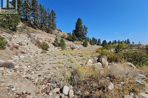 Lot 1 Ponderosa Drive - Photo 15