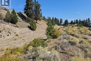 Lot 1 Ponderosa Drive - Photo 17