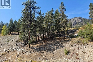 Lot 1 Ponderosa Drive - Photo 18