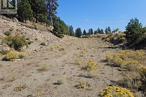 Lot 1 Ponderosa Drive - Photo 19