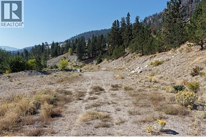 Lot 1 Ponderosa Drive - Photo 2