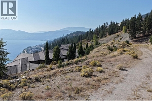 Lot 1 Ponderosa Drive - Photo 7