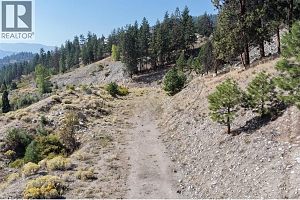 Lot 1 Ponderosa Drive - Photo 8