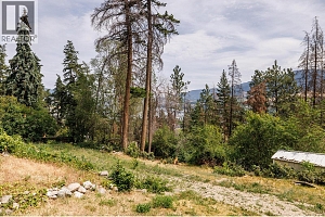 11175 Pretty Road - Photo 28