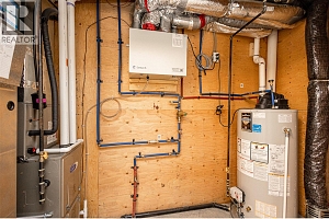 2118 Ryegrass Road - Photo 45