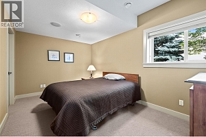 1714 Capistrano Peaks Crescent - Photo 50