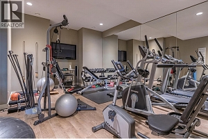 1117 Mt Fosthall Drive Unit# 10 - Photo 56