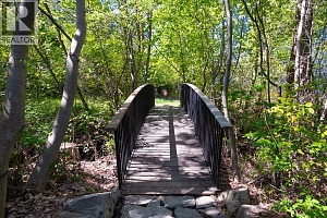 5308 Lakeshore Road - Photo 57