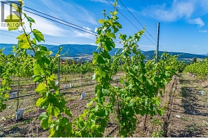 9269 Highway 6 - Photo 2