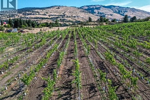 9269 Highway 6 - Photo 5