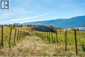 9269 Highway 6 - Photo 10