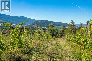 9269 Highway 6 - Photo 11