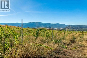 9269 Highway 6 - Photo 16