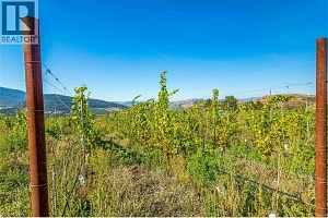 9269 Highway 6 - Photo 17