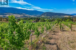 9269 Highway 6 - Photo 3