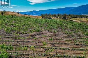 9269 Highway 6 - Photo 34