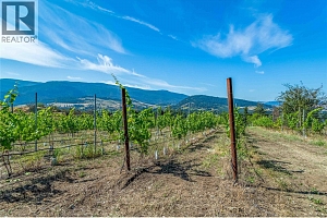 9269 Highway 6 - Photo 6