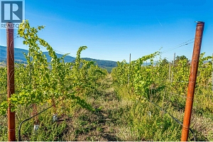 9269 Highway 6 - Photo 9