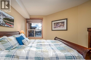 5050 Snowbird Way Unit# 204 - Photo 8