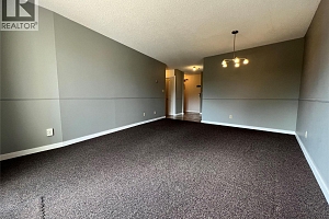 3901 32 Avenue Unit# 210 - Photo 24