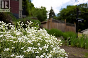 2100 32 Avenue - Photo 35