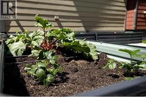 2100 32 Avenue - Photo 50