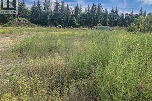 1801 48A Avenue - Photo 2