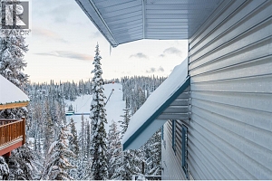 9807A Silver Star Road Lot# 1 - Photo 39