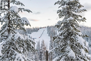 9807A Silver Star Road Lot# 1 - Photo 42