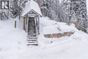 9807A Silver Star Road Lot# 1 - Photo 43