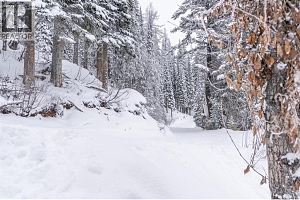 9807A Silver Star Road Lot# 1 - Photo 44