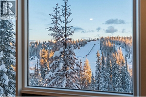 9807A Silver Star Road Lot# 1 - Photo 5