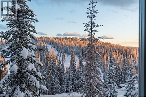 9807A Silver Star Road Lot# 1 - Photo 6