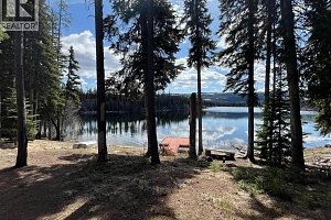 2701 Peachland Forestry Service Road - Photo 4